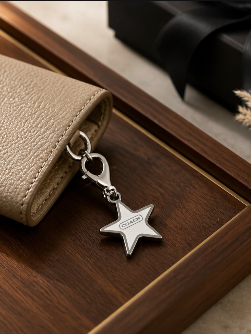 Coach Silver and Black Star Charm Keychain
